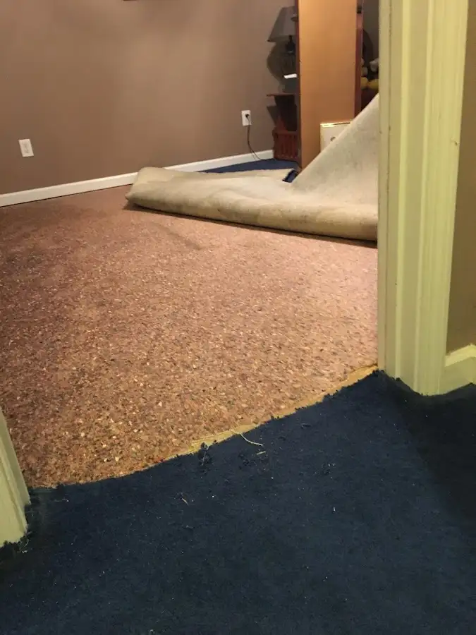 Carpet pad removal revealing water damage during Drying & Dehumidification in DeForest
