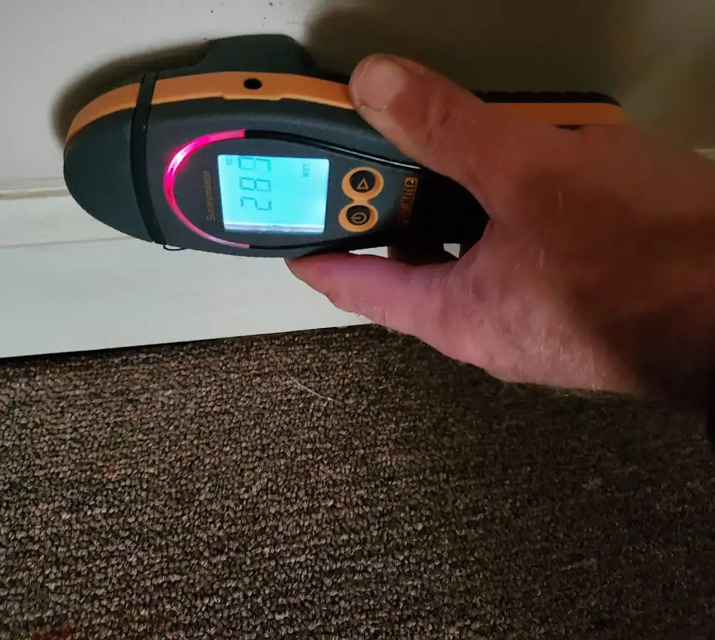 Moisture detection at baseboard during Sewage Cleanup & Sanitation in DeForest